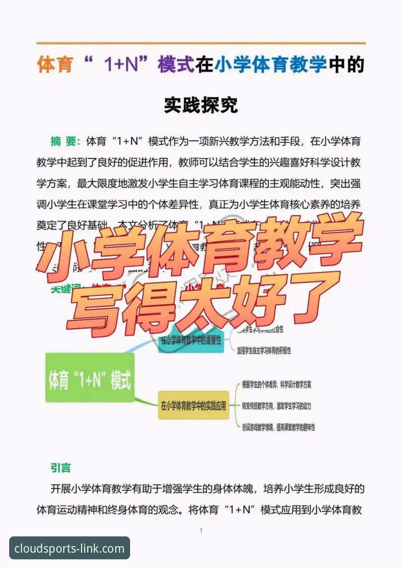 云体育平台移动端应用下载与使用完整指南